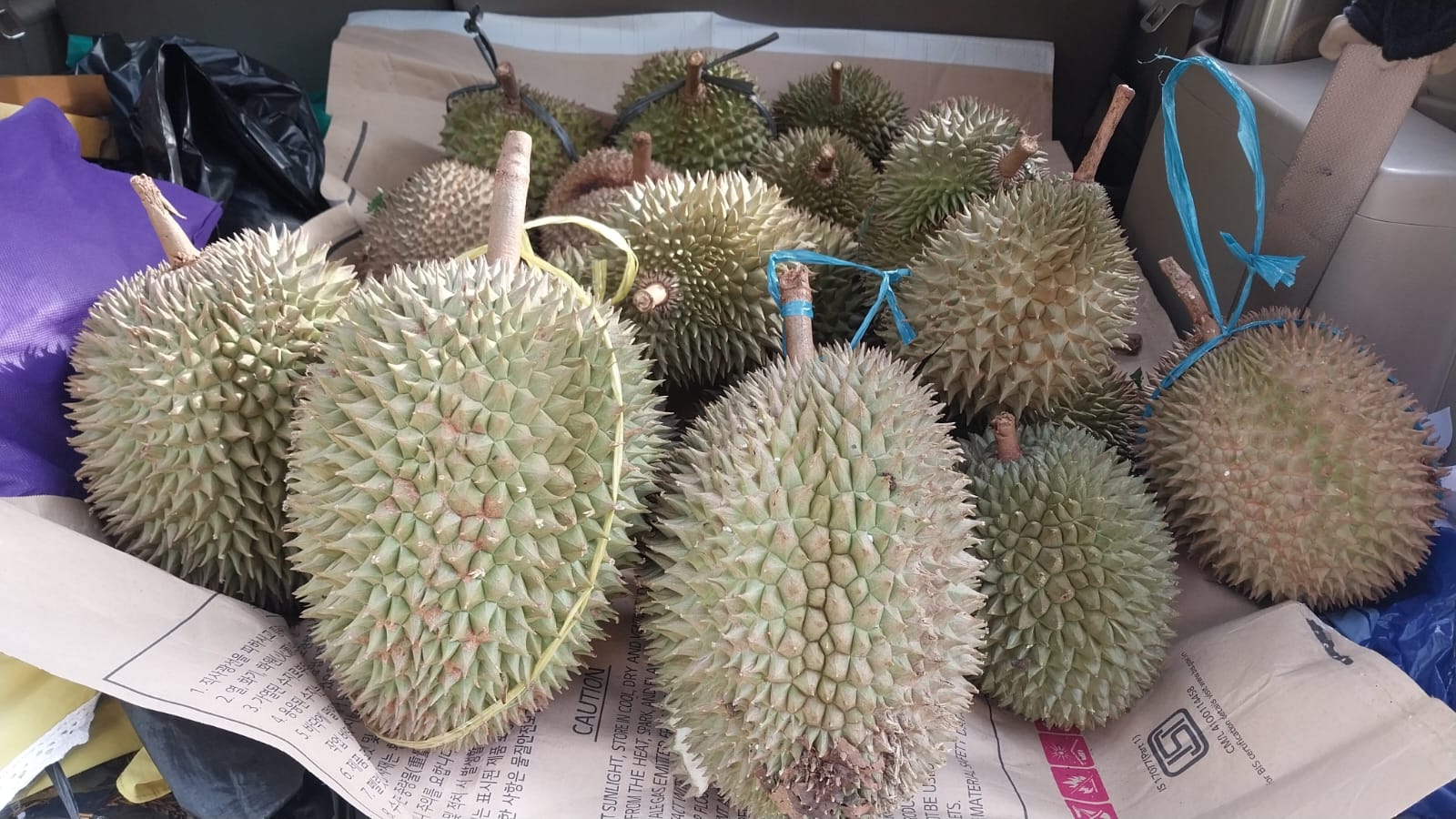duren jatohan